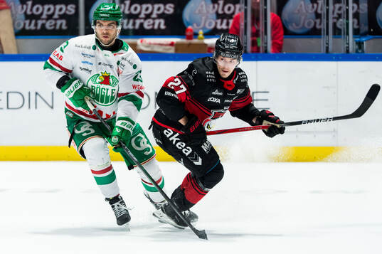 Rögles Josh Dickinson och Malmö Redhawks Henrik Haapala