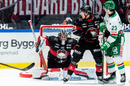Rögles Josh Dickinson och Malmö Redhawks målvakt Marek