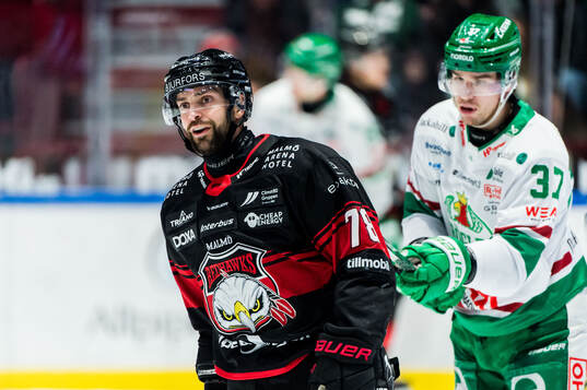 Malmö Redhawks Robin Hanzl och Rögles Albin Sundsvik