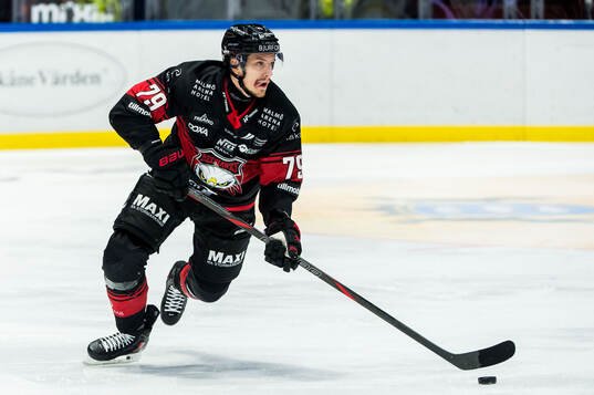 Malmö Redhawks Jakub Galvas