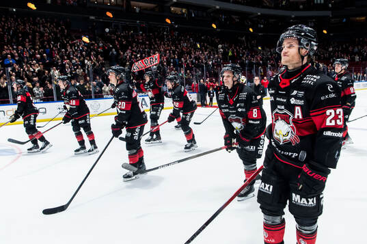Bläddra bland fler bilder av Ishockey, SHL, Malmö Redhawks - Rögle