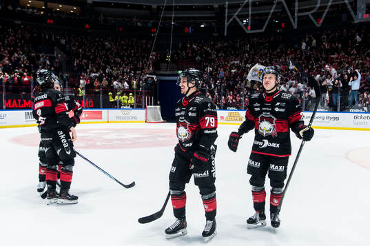 Malmö Redhawks spelare jublar