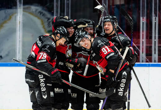 Malmö Redhawks spelare jublar