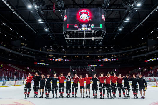 Malmö Redhawks spelare jublar med publiken