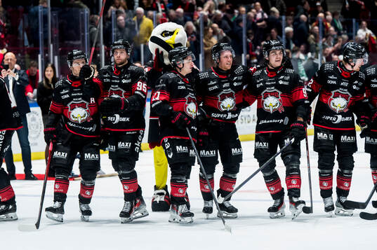 Malmö Redhawks spelare jublar