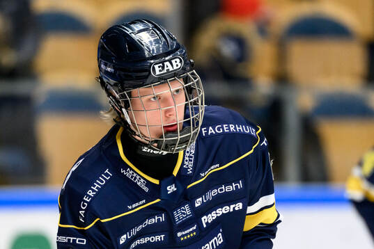 HV71s Karl Annborn