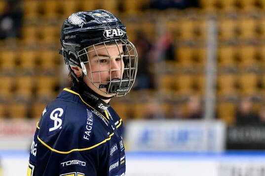 HV71s Albert Schioldan