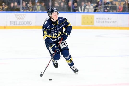HV71s Hugo Pettersson
