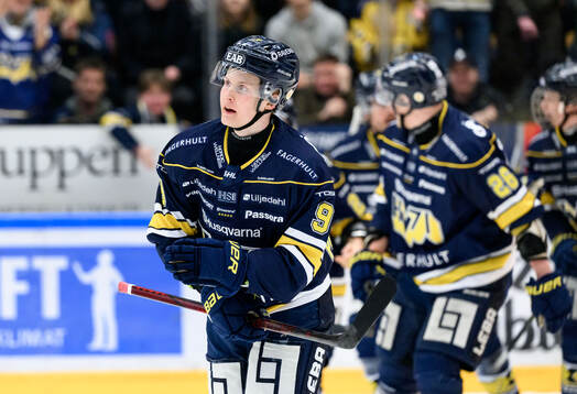 HV71s Hugo Pettersson jublar