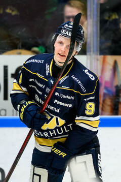HV71s Hugo Pettersson jublar