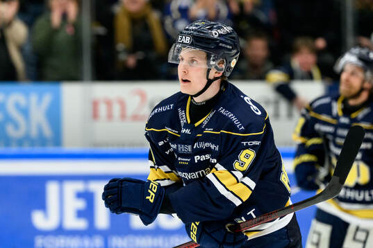 HV71s Hugo Pettersson jublar