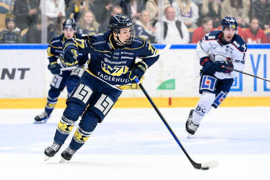HV71s Albert Schioldan