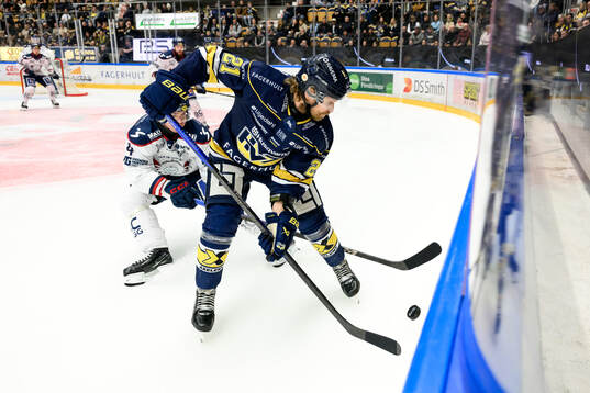HV71s Mattias Tedenby