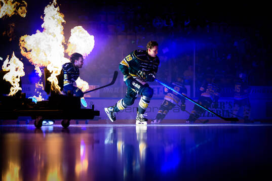 HV71s Wilhelm Hallquisth