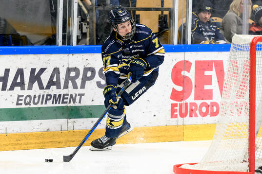 HV71s Albert Schioldan
