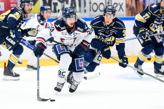 Linköpings Adam Hofbauer och HV71s Jamiro Reber
