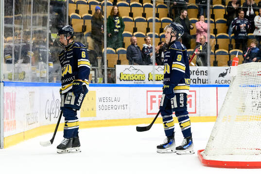 HV71s Karl Annborn och Hugo Pettersson deppar