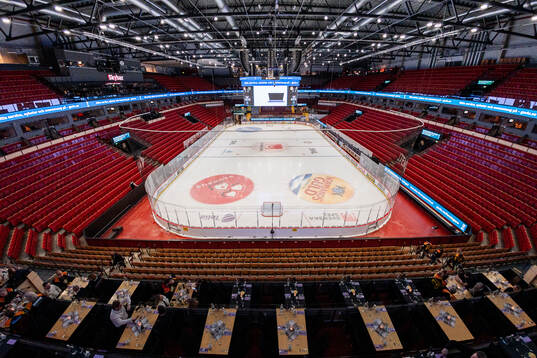 Monitor ERP Arena