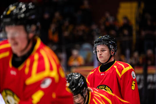 Brynäs Viktor Eriksson