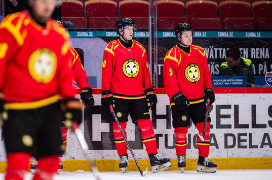 Brynäs Anton Ohlsson och Viktor Eriksson