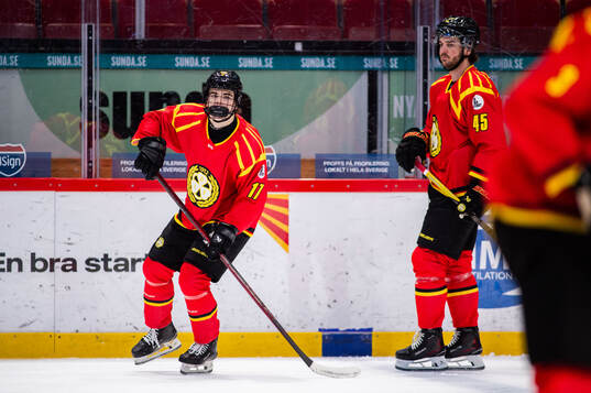Brynäs Michal Svrcek