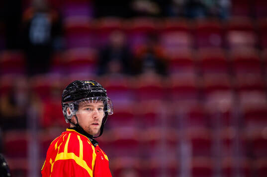 Brynäs Christian Djoos