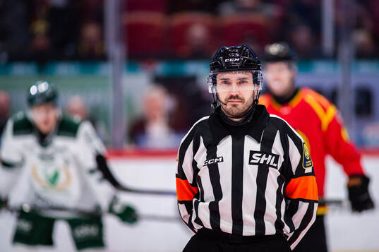 Domare Mattias Enroth