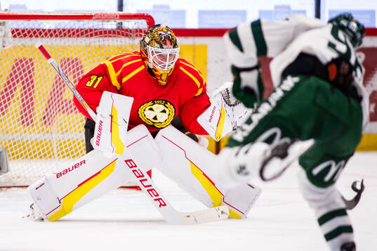 Brynäs målvakt Erik Källgren