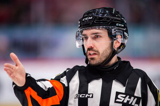 Domare Mattias Enroth