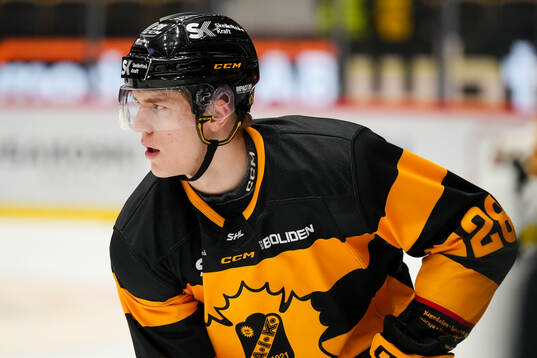 Skellefteås Michael Brandsegg-Nygård