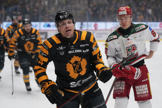 Skellefteås Andreas Johnson jublar