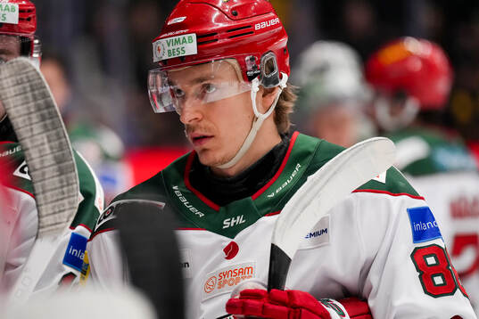 Modos Lukas Jasek