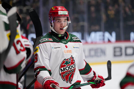 Modos Lucas Pettersson