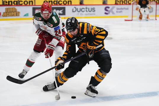 Modos Måns Carlsson och Skellefteås Luke Witkowski