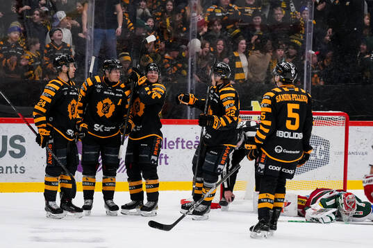 Skellefteås Rickard Hugg jublar