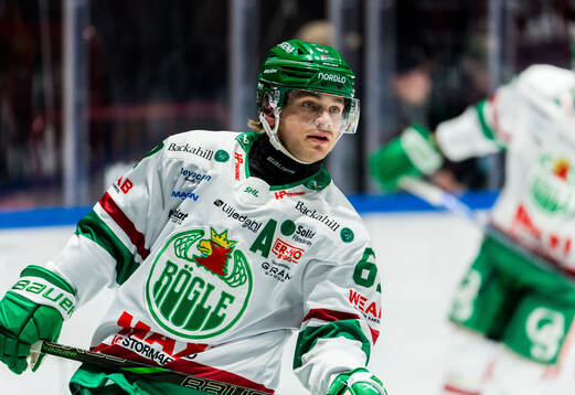Rögles Leon Bristedt