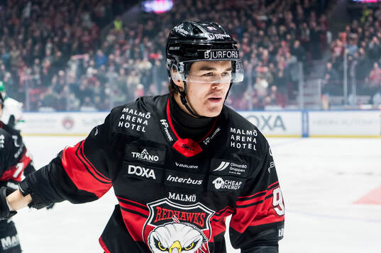 Malmö Redhawks Axel Sundberg jublar