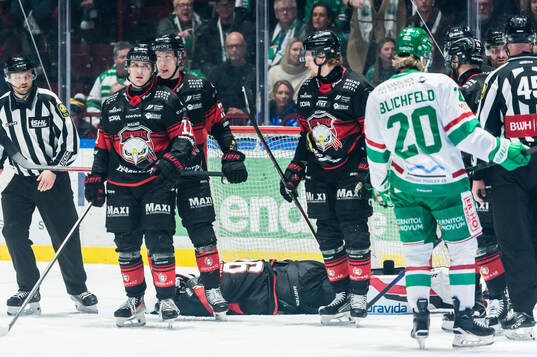 Malmö Redhawks målvakt Marek Langhamer