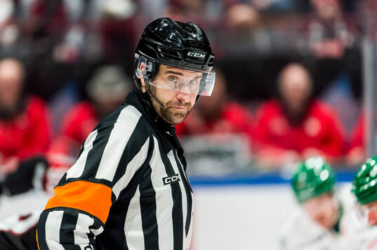 Domare Mikael Sjöqvist