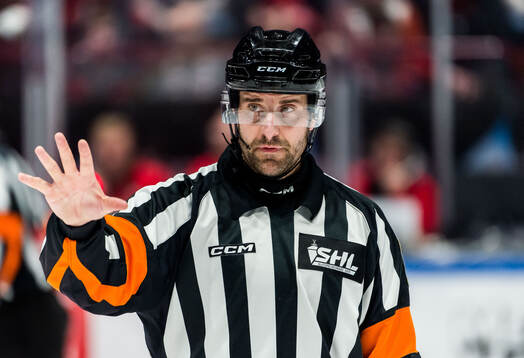 Domare Mikael Sjöqvist