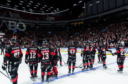 Malmö Redhawks spelare jublar