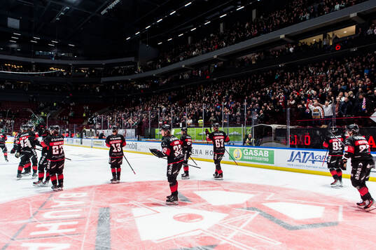 Malmö Redhawks spelare jublar