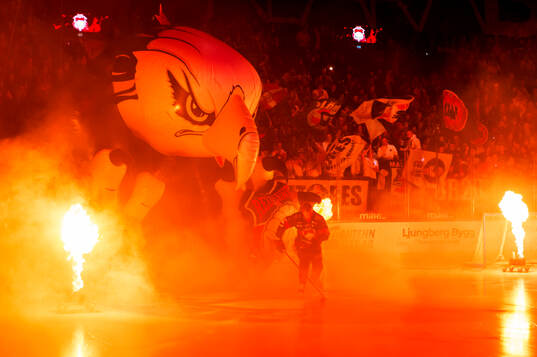 Malmö Redhawks äntrar Malmö Arena
