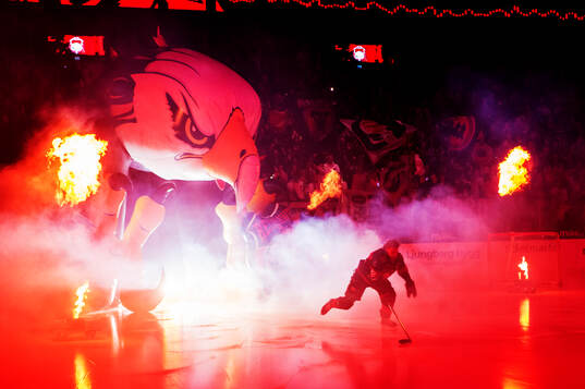 Malmö Redhawks äntrar Malmö Arena