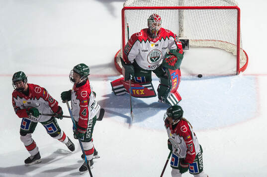 Frölundas målvakt Stephanie Neatby deppar