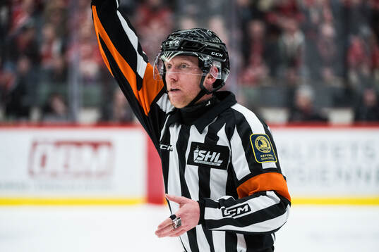 Domare Mikael Holm
