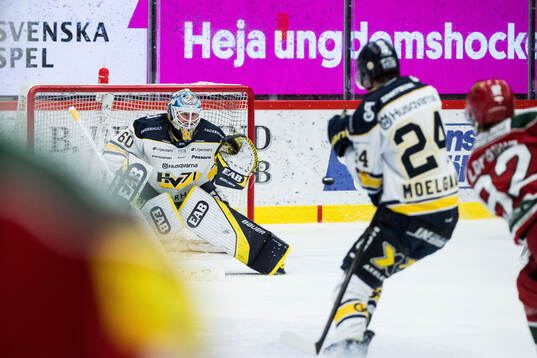 HV71s målvakt Hugo Alnefelt
