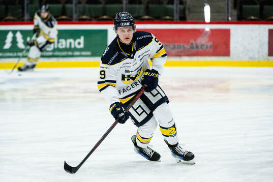 HV71s Hugo Pettersson
