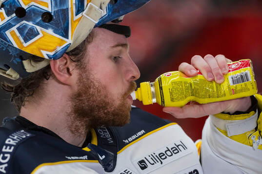 HV71s målvakt Hugo Alnefelt