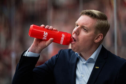 HV71s tränare Anton Blomqvist